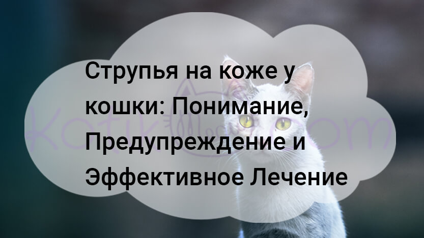 Подробнее о статье Струпья на коже у кошки: Понимание, Предупреждение и Эффективное Лечение