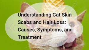 Read more about the article Understanding Cat Skin Scabs and Hair Loss: Causes, Symptoms, and Treatment