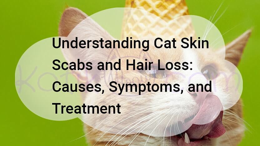 Read more about the article Understanding Cat Skin Scabs and Hair Loss: Causes, Symptoms, and Treatment