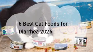 Read more about the article 6 Best Cat Foods for Diarrhea 2025
