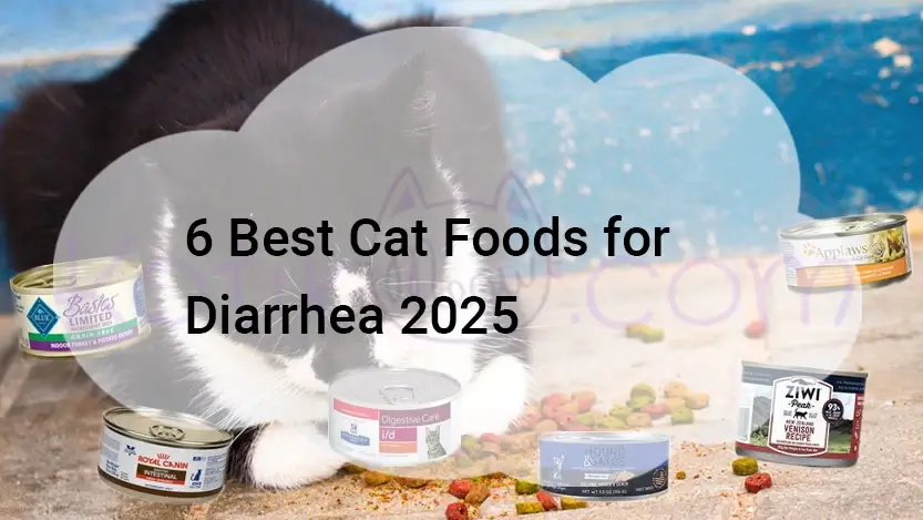 Read more about the article 6 Best Cat Foods for Diarrhea 2025