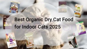 Read more about the article Best Organic Dry Cat Food for Indoor Cats 2025