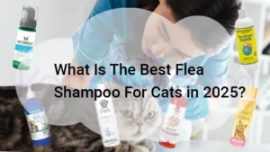 Read more about the article What Is The Best Flea Shampoo For Cats in 2025?