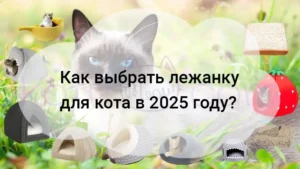 Подробнее о статье Как выбрать лежанку для кота в 2025?