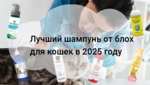Подробнее о статье Лучший шампунь от блох для кошек в 2025 году!