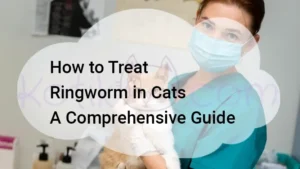 Read more about the article How to Treat Ringworm in Cats: A Comprehensive Guide