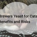 Brewers Yeast for Cats: Benefits and Risks