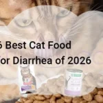 6 Best Cat Food for Diarrhea of 2026