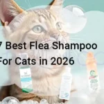 7 Best Flea Shampoo For Cats in 2026