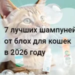 7 лучший шампунь от блох для кошек в 2026 году