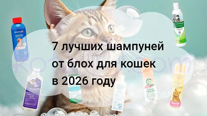 Вы сейчас просматриваете 7 лучший шампунь от блох для кошек в 2026 году