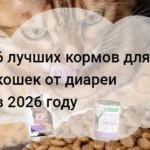 Корма для кошек при диарее 6 лучших в 2026 году