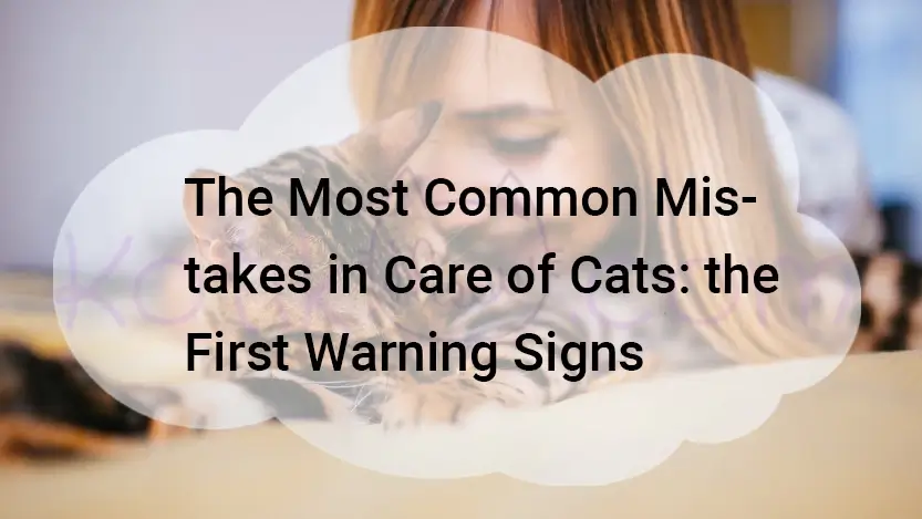 You are currently viewing The Most Common Mistakes in Care of Cats: the First Warning Signs