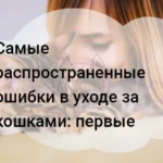 Самые распространенные ошибки в уходе за кошками: первые тревожные признаки